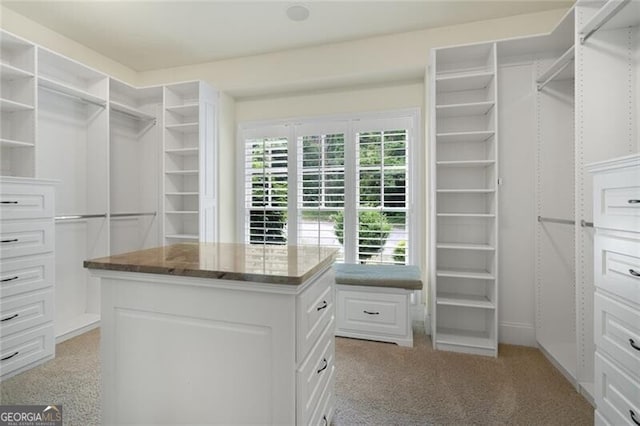 walk in closet with light colored carpet