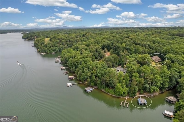 bird's eye view with a water view and a wooded view