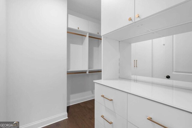 spacious closet with dark wood-type flooring