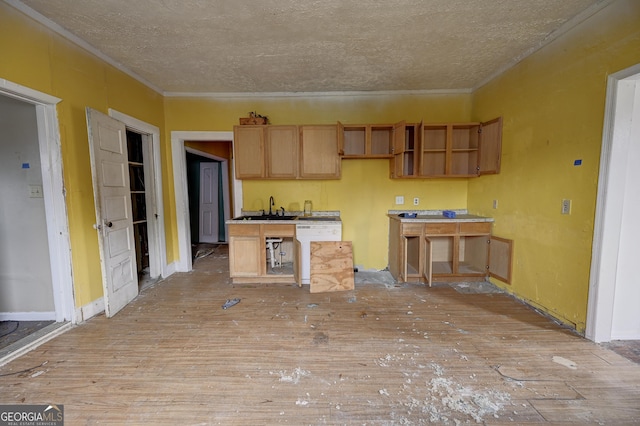 kitchen featuring a textured ceiling, dishwasher, crown molding, and light wood finished floors