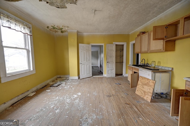 kitchen featuring crown molding, light wood-style floors, baseboards, and a textured ceiling