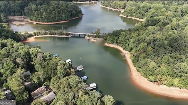 birds eye view of property with a water view and a wooded view