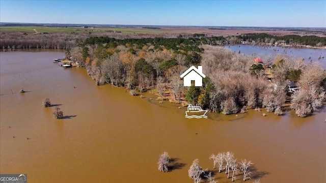 aerial view with a water view and a view of trees