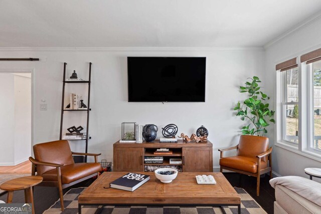 living area featuring wood finished floors, baseboards, and ornamental molding