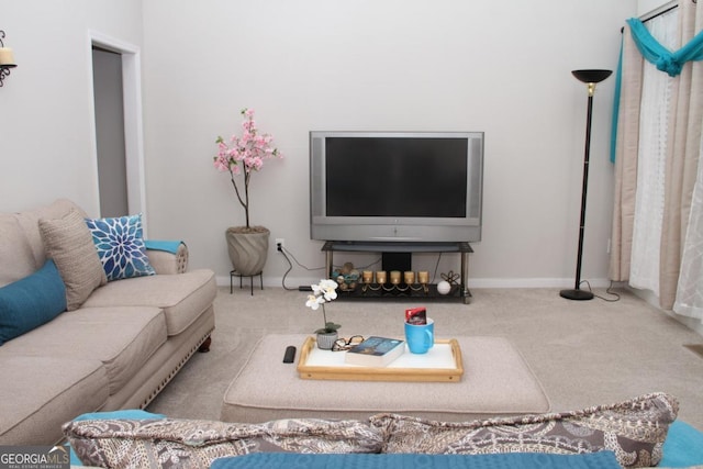 living area featuring baseboards and carpet floors