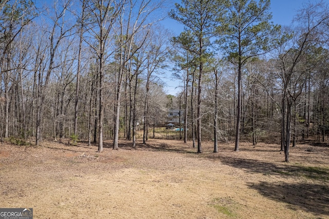 view of yard featuring dirt driveway