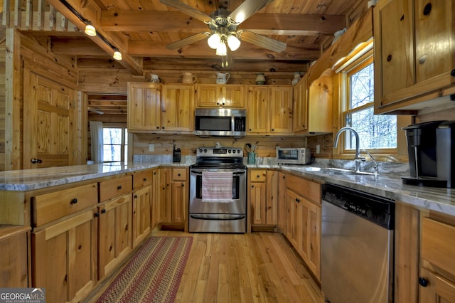 kitchen with plenty of natural light, light wood-style flooring, a sink, and appliances with stainless steel finishes
