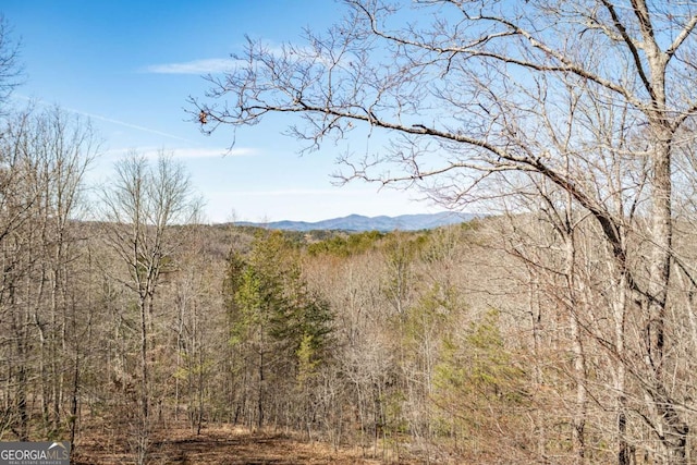 mountain view featuring a wooded view