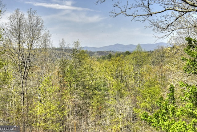 view of mountain feature featuring a view of trees