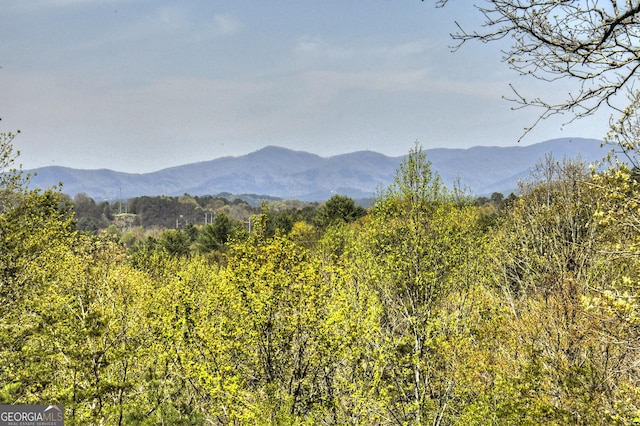 view of mountain feature featuring a view of trees