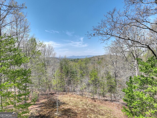 property view of mountains featuring a wooded view