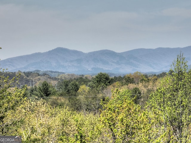 view of mountain feature with a view of trees