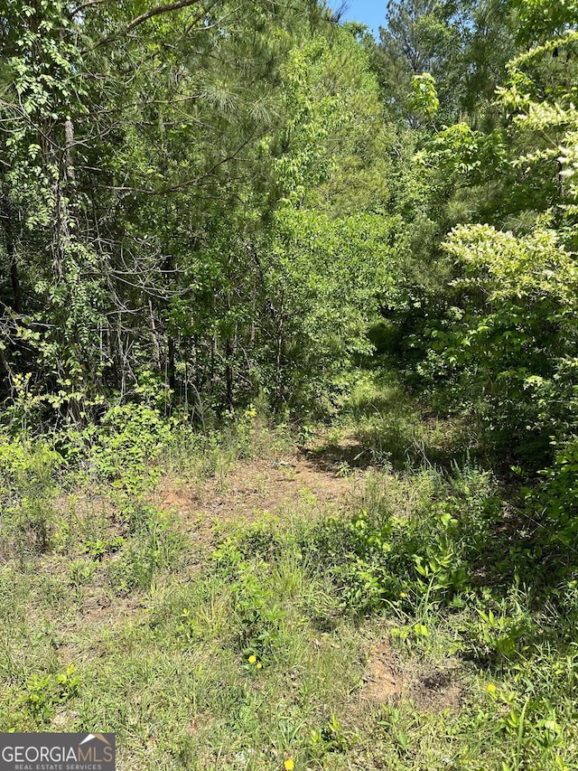 0 Rocky Mount Rd, Greenville GA, 30222 land for sale