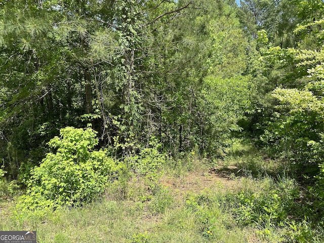 Listing photo 2 for 0 Rocky Mount Rd, Greenville GA 30222