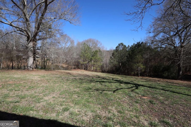 2802 County Road 19, Woodland, AL 36280 - view of grassy yard featuring a wooded view