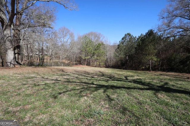 2802 County Road 19, Woodland, AL 36280 - view of green lawn featuring a view of trees