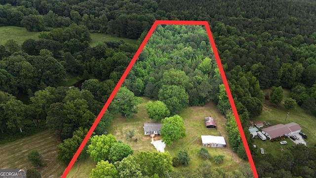 2802 County Road 19, Woodland, AL 36280 - view of property location with a forest and property boundaries highlighted