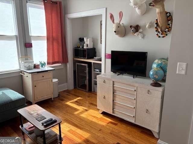 living area featuring light wood finished floors