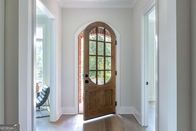 foyer entrance featuring baseboards, a healthy amount of sunlight, and crown molding