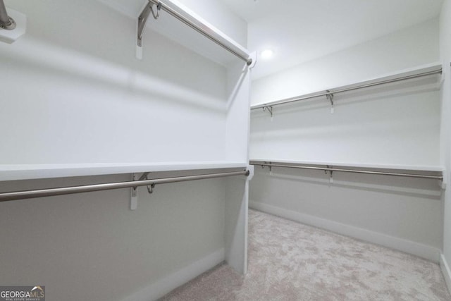 walk in closet featuring carpet flooring