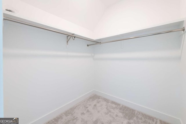 spacious closet with carpet flooring