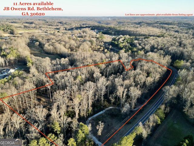 TRACT1 J B Owens Rd Unit 11Acres, Bethlehem GA, 30620 land for sale