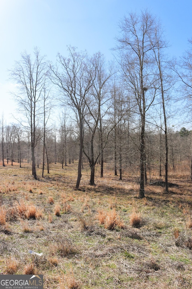 Listing photo 2 for LOT29 Bayside Dr, Greensboro GA 30642