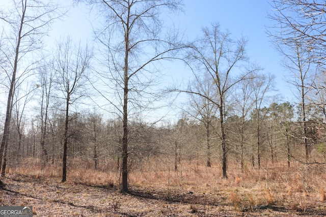 Listing photo 3 for LOT29 Bayside Dr, Greensboro GA 30642