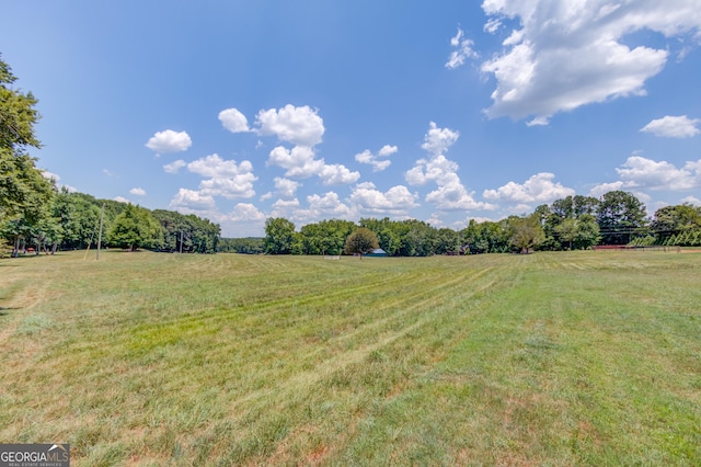 view of yard featuring a rural view