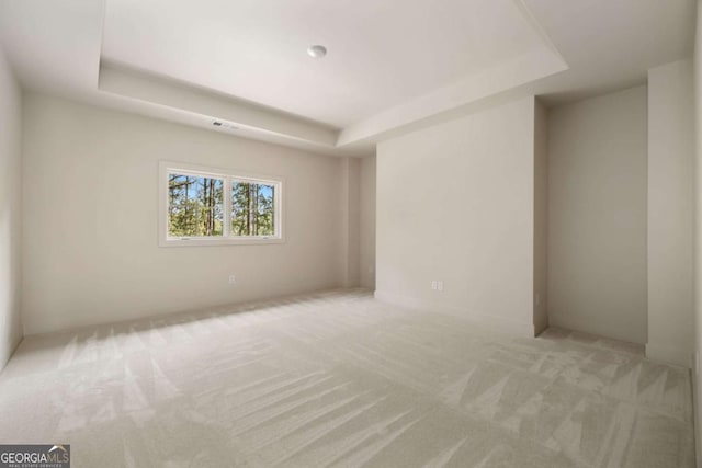 spare room featuring carpet and a tray ceiling