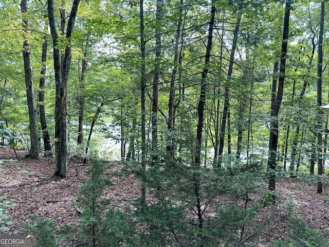 view of landscape featuring a wooded view