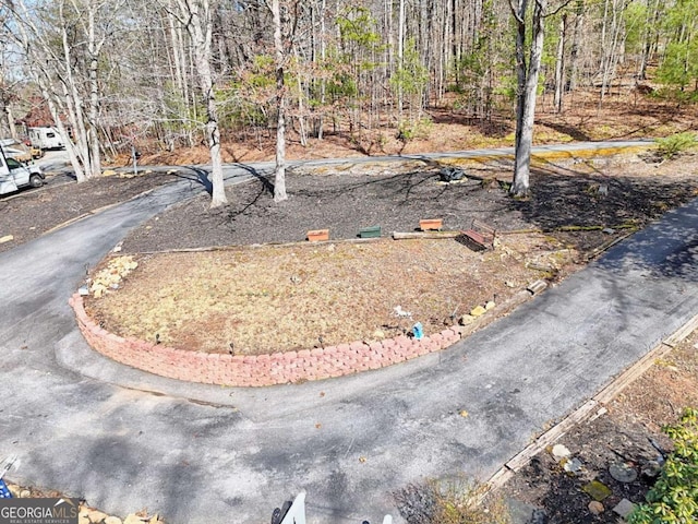 view of yard featuring aphalt driveway and a forest view