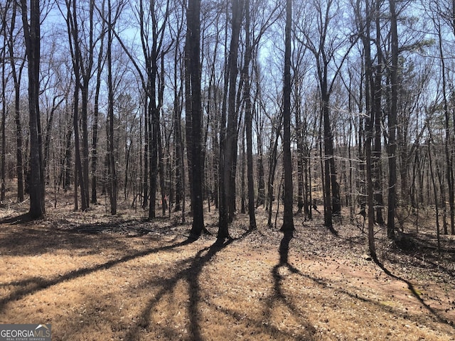 view of local wilderness featuring a forest view