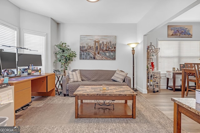 living room featuring light wood-style floors