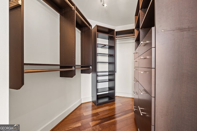 spacious closet featuring wood finished floors