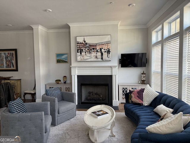 living room featuring wood finished floors, a fireplace, and crown molding