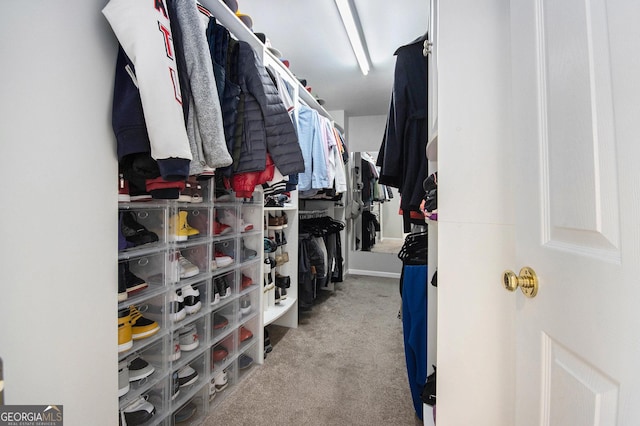 3550 Myrtlewood Chase NW, Kennesaw, GA 30144 - spacious closet with carpet flooring