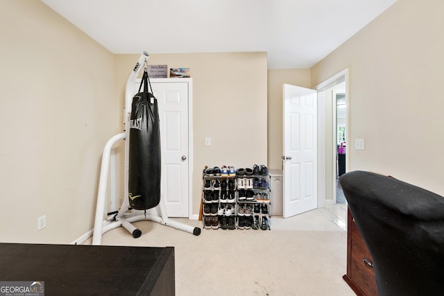 exercise area featuring carpet