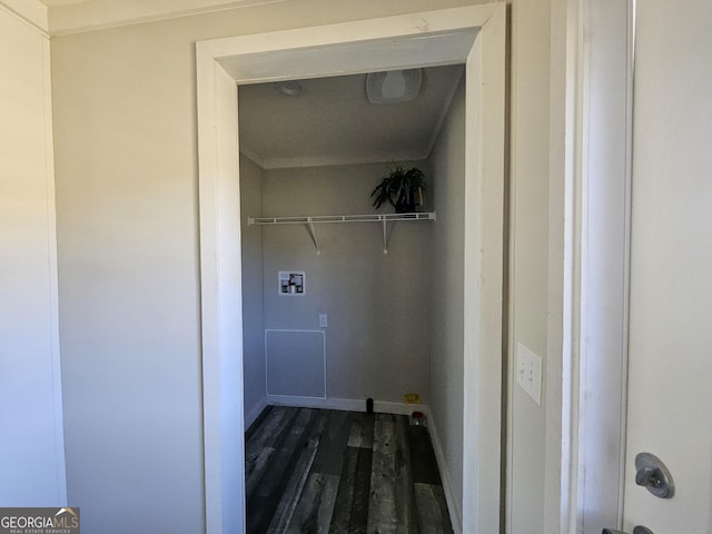 laundry room featuring laundry area and dark wood-type flooring