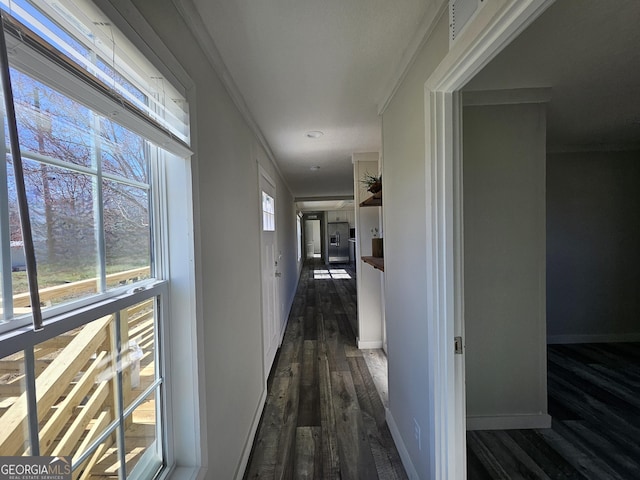 corridor with dark wood-type flooring, crown molding, a healthy amount of sunlight, and baseboards