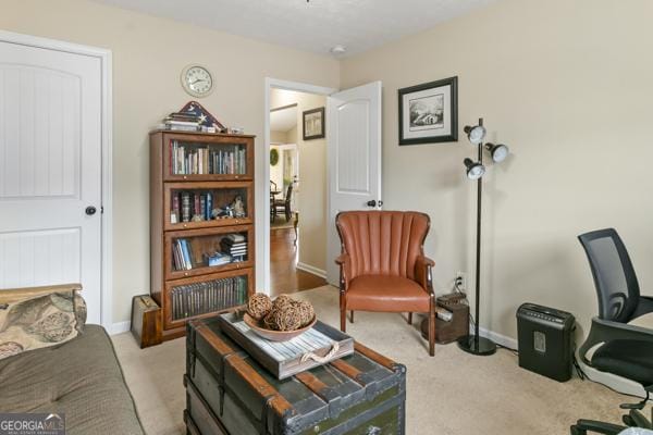 interior space with light carpet and baseboards