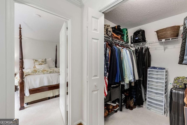 walk in closet with carpet