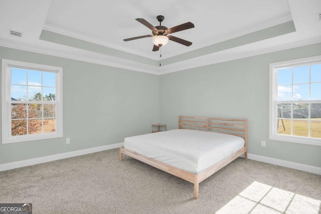 bedroom featuring carpet flooring, multiple windows, and a tray ceiling