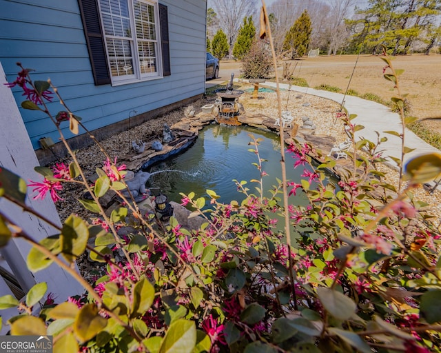 details featuring a small pond