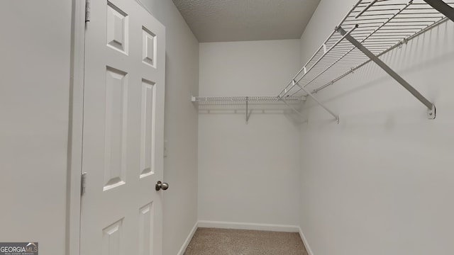 spacious closet featuring carpet floors