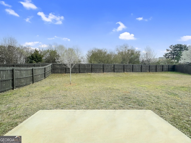 view of yard featuring a patio area and a fenced backyard