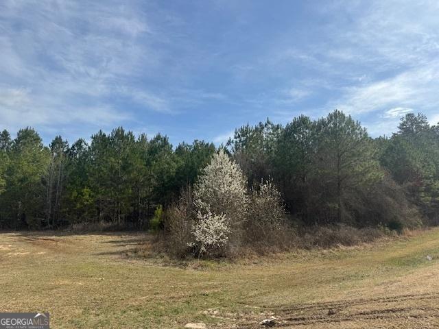 39 Brush Creek Park Rd, Franklin GA, 30217 land for sale