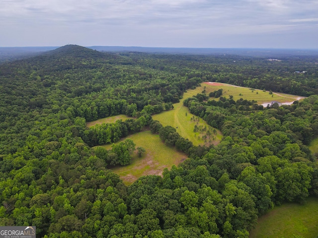 85 Blackjack Mountain Rd, Bowdon GA, 30108 land for sale