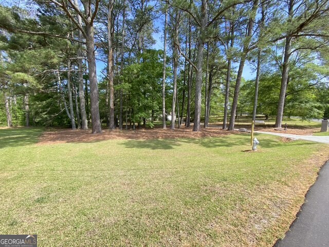 view of green lawn