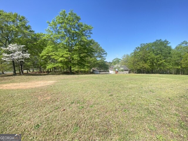 view of green lawn